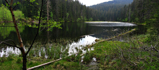 Sumava