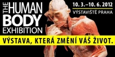 The famous exhibition of plastinated bodies The Human Body will be held in Prague