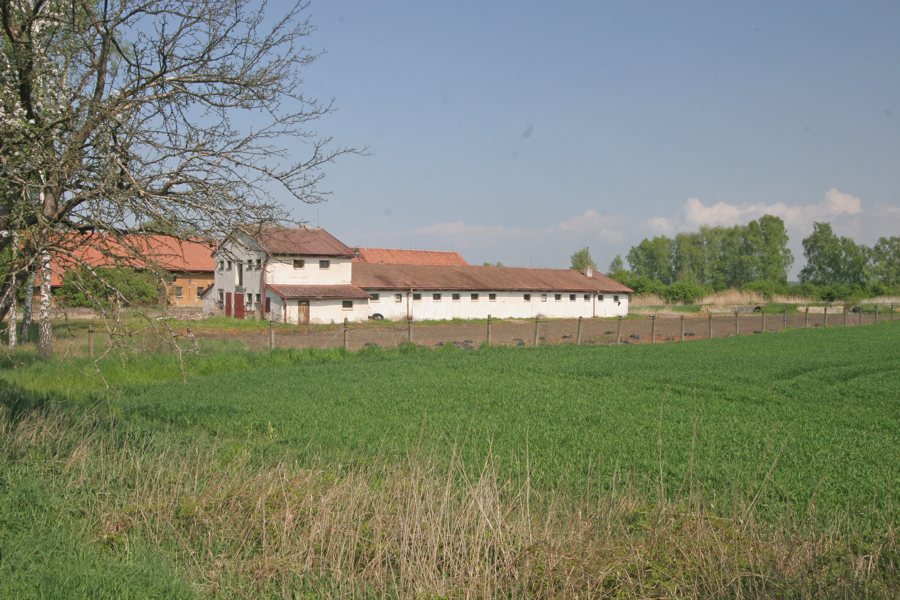 File:Lány u Dašic - bývalý kravín.JPG