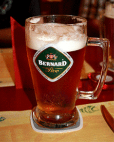 Czech beer Bernard